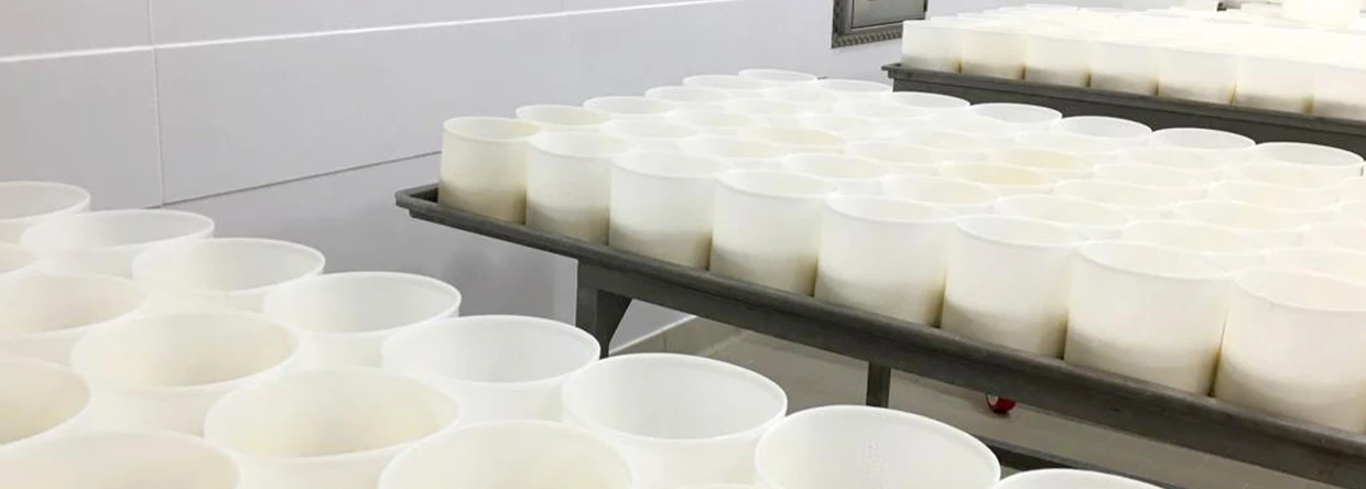 Protezione con proliner